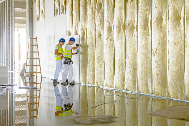 Types of Insulation We Offer in Earle, AR